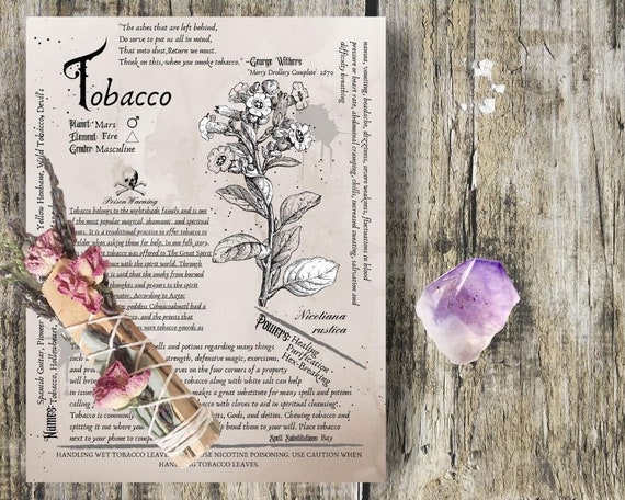 Tobacco- Grimoire Printable, Book of Shadows Printable, Poisonous Herbs,  Wiccan, Witch, Witchcraft, The Poisonous Herb Collection