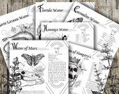Vol 1. Recipes- Grimoire Printable, Book of Shadows Printable, Witchcraft Recipes, Wiccan, Witch, Witchcraft, The Recipe Collection, WB