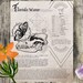 Cursive Handwriting Practice Sheets, 5mm Dot Grid for Bullet Journal ...