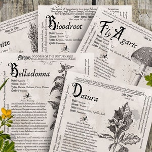 Vol. 1 Grimoire Printable, Book of Shadows Printable, Poisonous Herbs, Wiccan, Witch, Witchcraft, The Poisonous Herb Collection