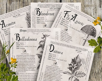Vol. 1 Grimoire Printable, Book of Shadows Printable, Poisonous Herbs, Wiccan, Witch, Witchcraft, The Poisonous Herb Collection