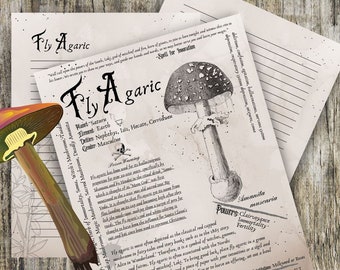 Fly Agaric- Grimoire Printable, Book of Shadows Printable, Poisonous Herbs, Wiccan, Witch, Witchcraft, The Poisonous Herb Collection