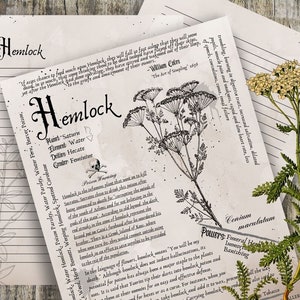 Hemlock- Grimoire Printable, Book of Shadows Printable, Poisonous Herbs, Wiccan, Witch, Witchcraft, The Poisonous Herb Collection