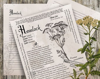 Hemlock- Grimoire Printable, Book of Shadows Printable, Poisonous Herbs, Wiccan, Witch, Witchcraft, The Poisonous Herb Collection