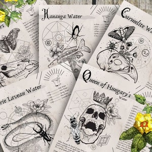 Vol 1. Recipes- Grimoire Printable, Book of Shadows Printable, Witchcraft Recipes, Wiccan, Witch, Witchcraft, The Recipe Collection