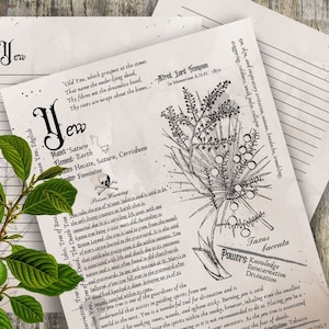 Yew- Grimoire Printable, Book of Shadows Printable, Poisonous Herbs, Wiccan, Witch, Witchcraft, The Poisonous Herb Collection