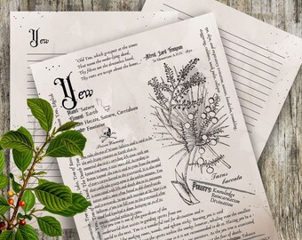 Yew- Grimoire Printable, Book of Shadows Printable, Poisonous Herbs, Wiccan, Witch, Witchcraft, The Poisonous Herb Collection