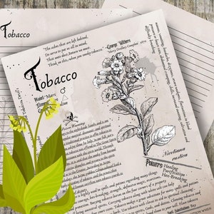 Tobacco- Grimoire Printable, Book of Shadows Printable, Poisonous Herbs, Wiccan, Witch, Witchcraft, The Poisonous Herb Collection