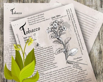 Tobacco- Grimoire Printable, Book of Shadows Printable, Poisonous Herbs, Wiccan, Witch, Witchcraft, The Poisonous Herb Collection