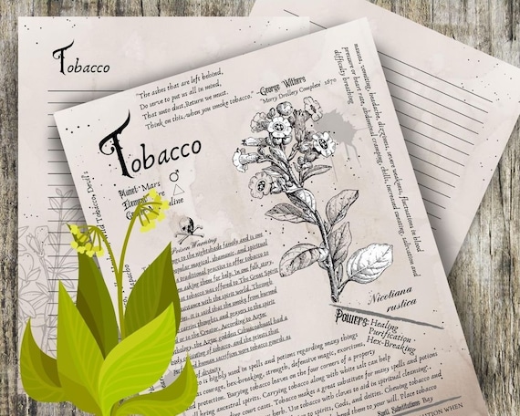 Tobacco- Grimoire Printable, Book of Shadows Printable, Poisonous Herbs,  Wiccan, Witch, Witchcraft, the Poisonous Herb Collection