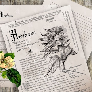 Henbane- Grimoire Printable, Book of Shadows Printable, Poisonous Herbs, Wiccan, Witch, Witchcraft, The Poisonous Herb Collection