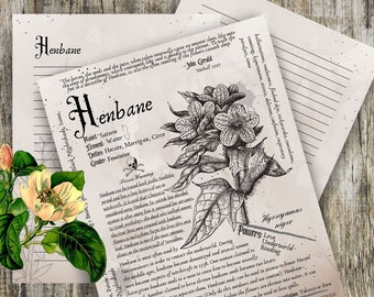 Henbane- Grimoire Printable, Book of Shadows Printable, Poisonous Herbs, Wiccan, Witch, Witchcraft, The Poisonous Herb Collection