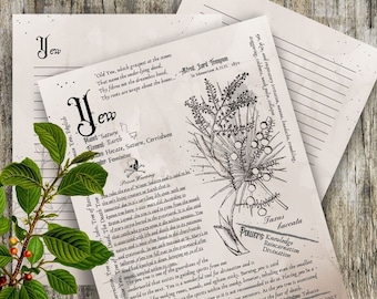 Yew- Grimoire Printable, Book of Shadows Printable, Poisonous Herbs, Wiccan, Witch, Witchcraft, The Poisonous Herb Collection