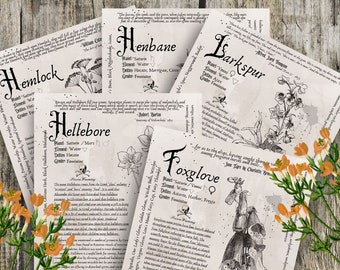Vol. 2 Grimoire Printable, Book of Shadows Printable, Poisonous Herbs, Wiccan, Witch, Witchcraft, The Poisonous Herb Collection