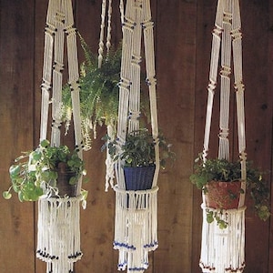 Puede incluir: Tres maceteros colgantes de macramé con cuentas de madera y cuentas de vidrio azul. Los maceteros están hechos de cordón blanco y están colgados del techo. Cada macetero tiene una planta.