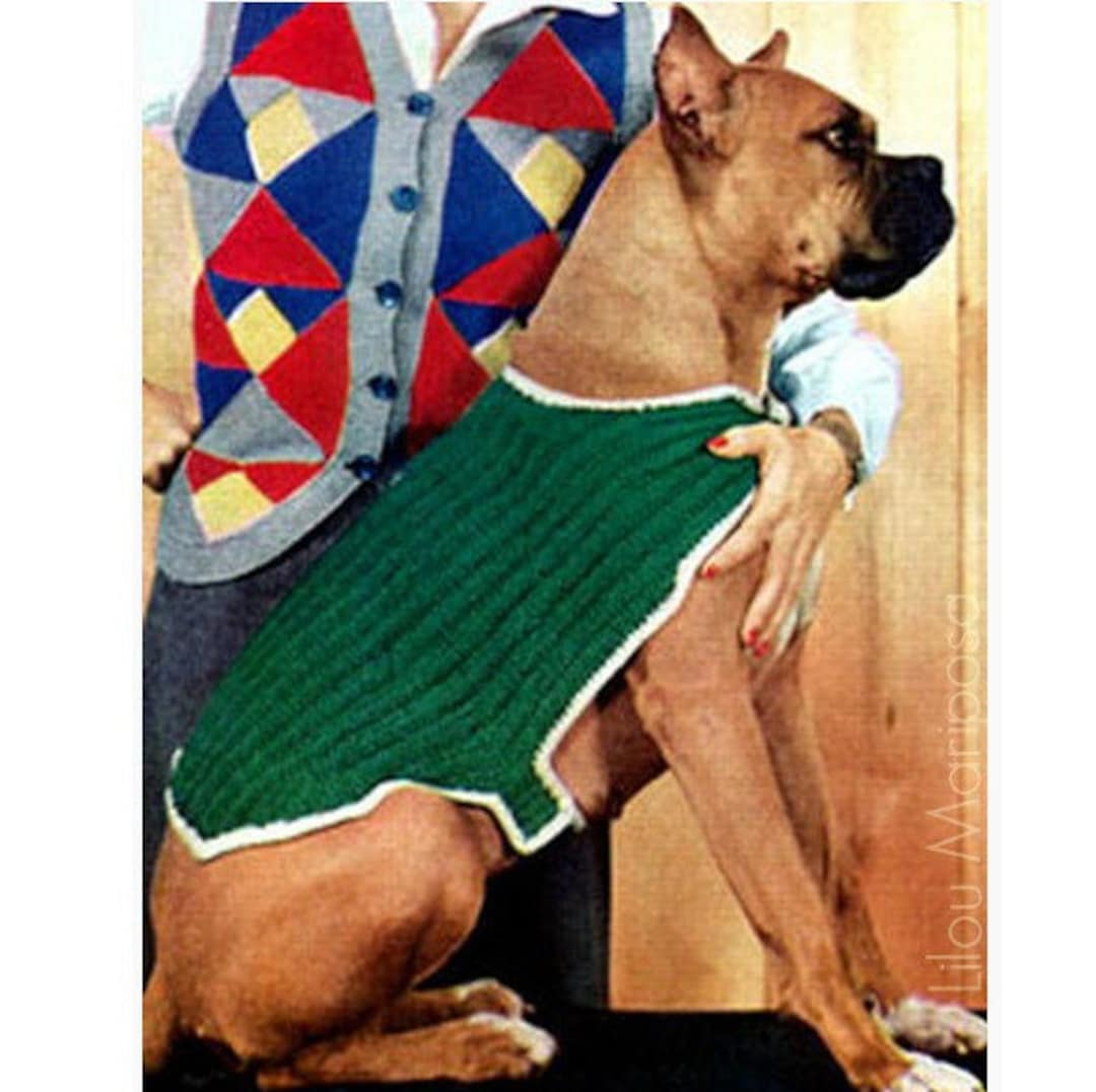 Patrones Sueter Perro Tejido Dog Clothes Sueter Para Perro Dos