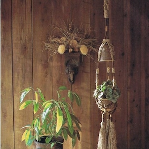May include: A macrame plant hanger with a brown pot and green plant hanging from a wooden wall. A second plant in a brown pot is on the floor.