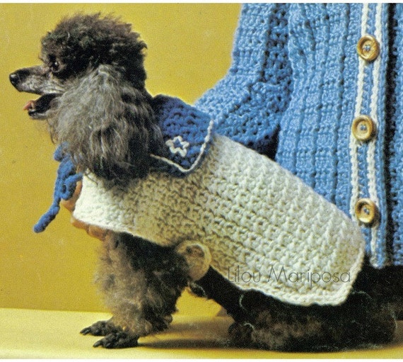 Patron de en crochet sueter para perro mascota Etsy México