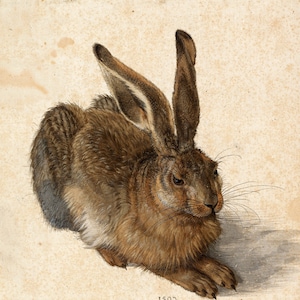 May include: A detailed watercolor painting of a brown hare with long ears, lying on its belly with its head turned to the side. The hare's fur is depicted with great realism, showing individual hairs. The painting is signed and dated "1502 AD" in the lower right corner.