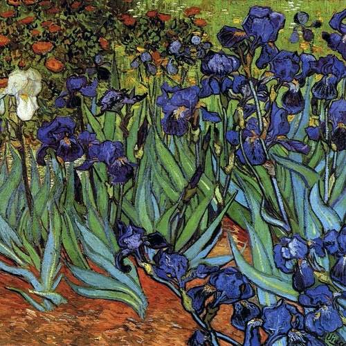 Irises newer Version by Vincent Van Gogh Giclee Canvas | Etsy