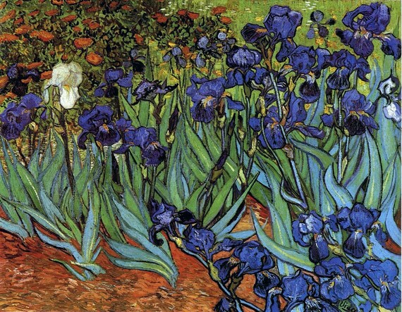 Irises by Vincent Van Gogh Giclee Canvas Print Flat Print | Etsy
