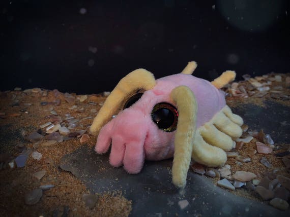 sea pig stuffed animal