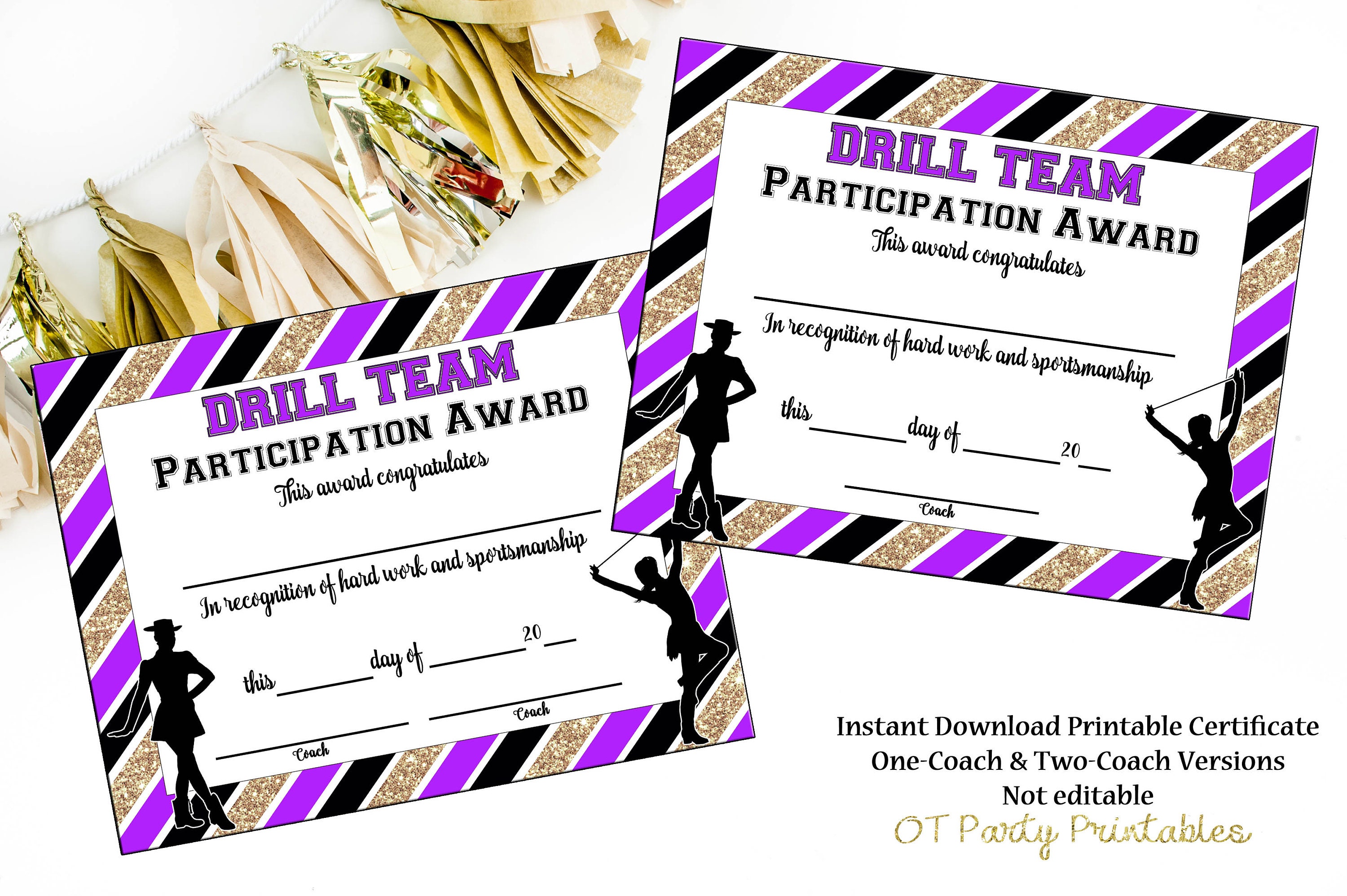 INSTANT DOWNLOAD Drill Certificate Baton Award Majorette Etsy Nederland