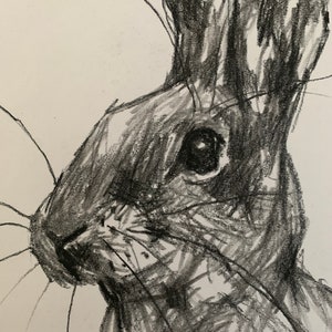 Hare drawing in charcoal, on paper, A3 original, signed by artist