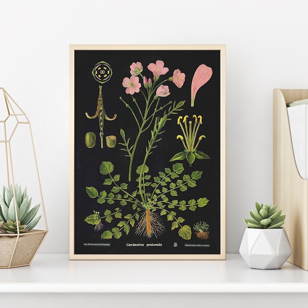 Botanical Art Print | Nature Prints | Jung Koch Quentell | Boho Apartment Decor | Gifts for Gardeners