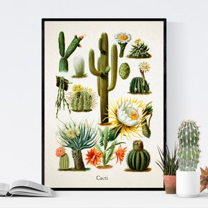 Botanical Cactus Art Print Desert Succulent Decor Nature-Inspired Wall Art Natural Home Decor image 1