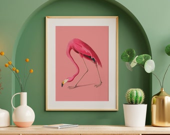 Pink Flamingo Art Print | Vintage Nature Print | Birds of America Decor, Antique Bird Poster | John Audubon Print | Large Wall Art