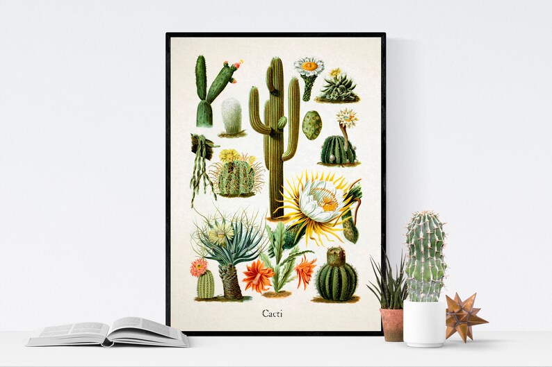 Botanical Cactus Art Print Desert Succulent Decor Nature-Inspired Wall Art Natural Home Decor image 1