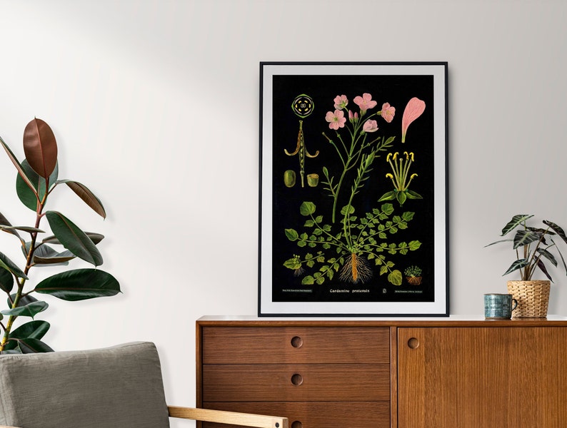 Botanical Art Print Nature Prints Jung Koch Quentell Boho Apartment Decor Gifts for Gardeners image 4