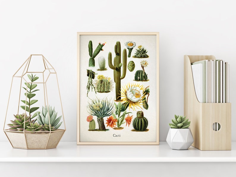 Botanical Cactus Art Print Desert Succulent Decor Nature-Inspired Wall Art Natural Home Decor image 3