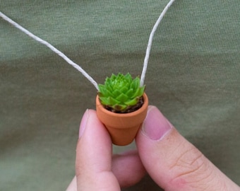 Succulent Necklace | Live Wearable Mini Succulent | Small Hanging Planter