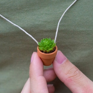 Succulent Necklace | Live Wearable Mini Succulent | Small Hanging Planter