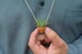 Air Plant Necklace | Wearable Live Miniture Tillandsia Plant included 