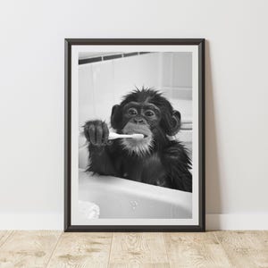 May include: Monochrome framed print featuring a chimpanzee brushing its teeth in a bathtub. The chimpanzee is wet and holding a white toothbrush. The background shows a white tiled wall.
