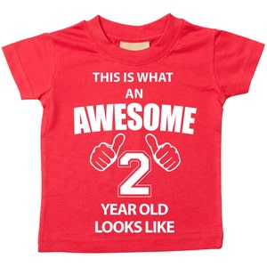 2nd Birthday Tshirt This Is What An Awesome 2 Year Old Looks Like Red Tshirt Kids Sibling Children New Born Gift Present