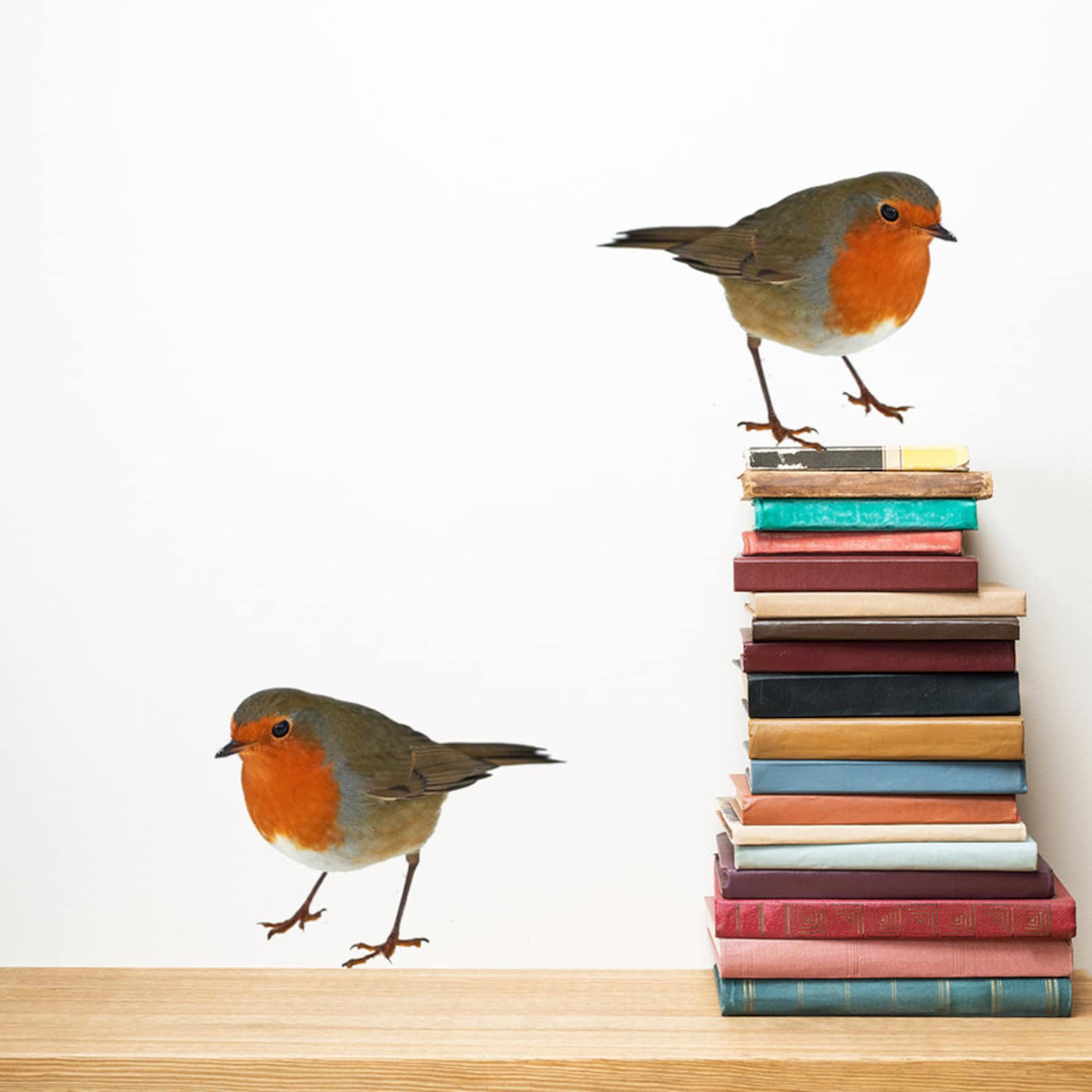 Robin Wall Decals Set of 2 Bird Wall Sticker Decal Home Decor Etsy UK