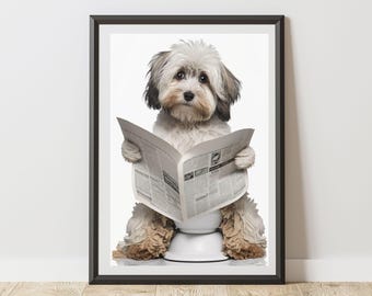 Havanese Print On Toilet Reading A Newspaper Bathroom Poster| Humorous Animal Art | Quirky Dog Wall Decor for WC Ensuite