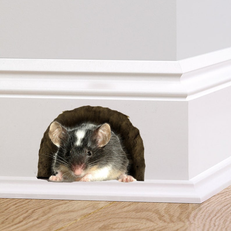 Souris dans le trou mur autocollant Sticker décoratif plinthe Etsy France
