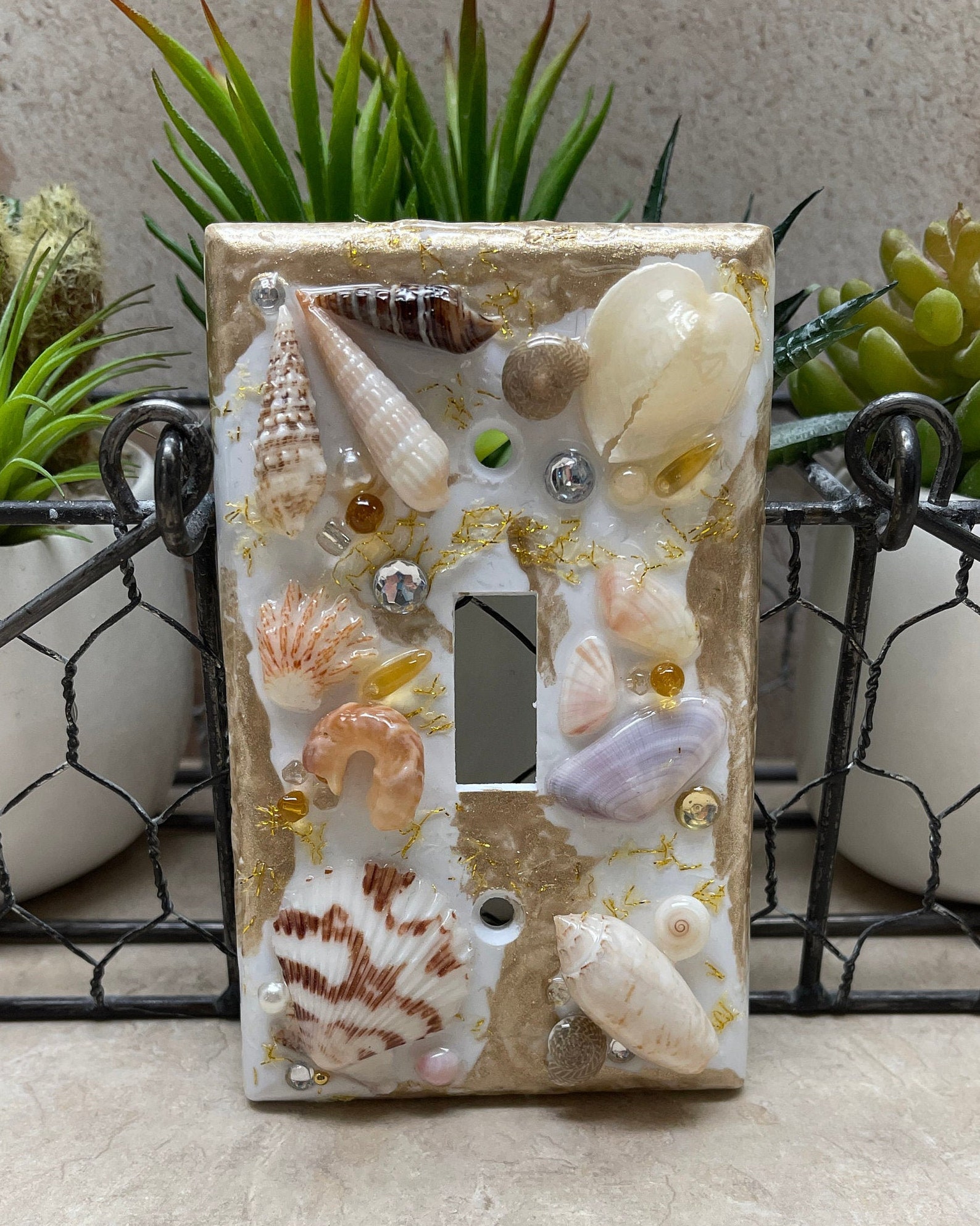 Seashell Switch Plate Cover Real Sea Shells One Toggle Etsy