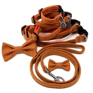 Può includere: Un set di collari per cani arancioni e marroni e un guinzaglio abbinato con due papillon. I collari sono regolabili e hanno una fibbia in metallo. Il guinzaglio è realizzato in un materiale morbido e resistente e ha un moschettone in metallo.