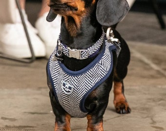 Navy Herringbone Tweed Dog Harness