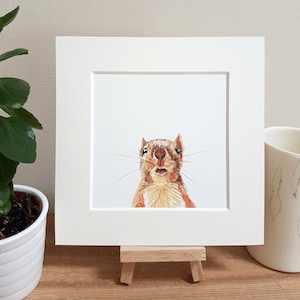 Squirrel art print, squirrel gift, watercolour mini print, a bit more than just a greetings card!