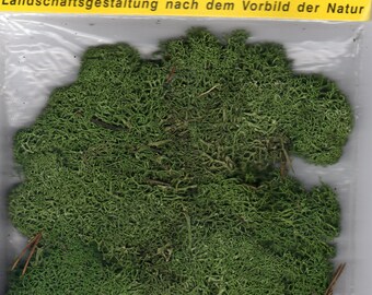 Dark Green Lichen Moss ~ Scenery for MODEL RAIL H0, N, Z Scale, Model Train Accessory, Brand New Heki 3211