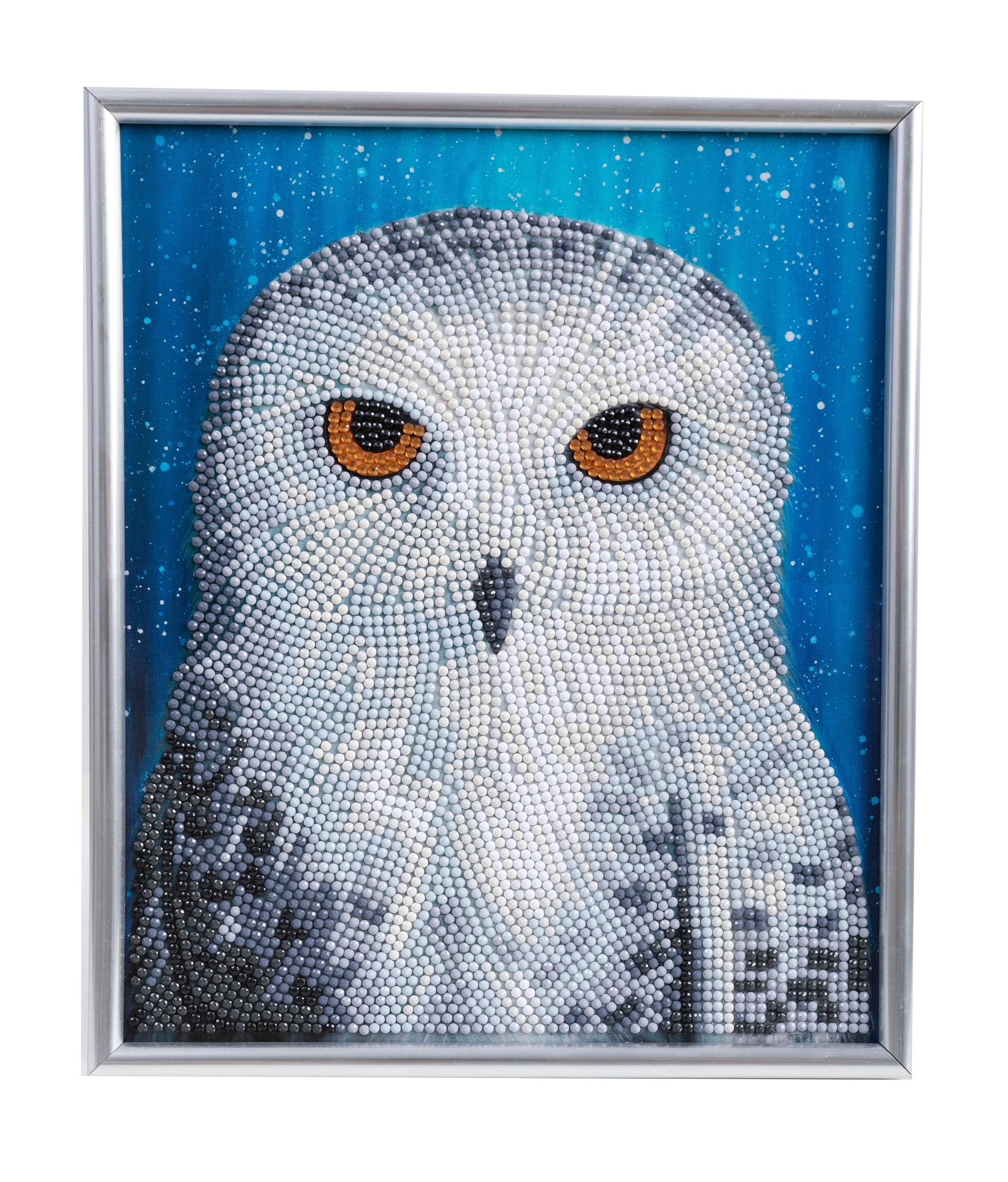 DIAMOND PAINTING KIT Snowy Owl by Night With White Frame Crystal