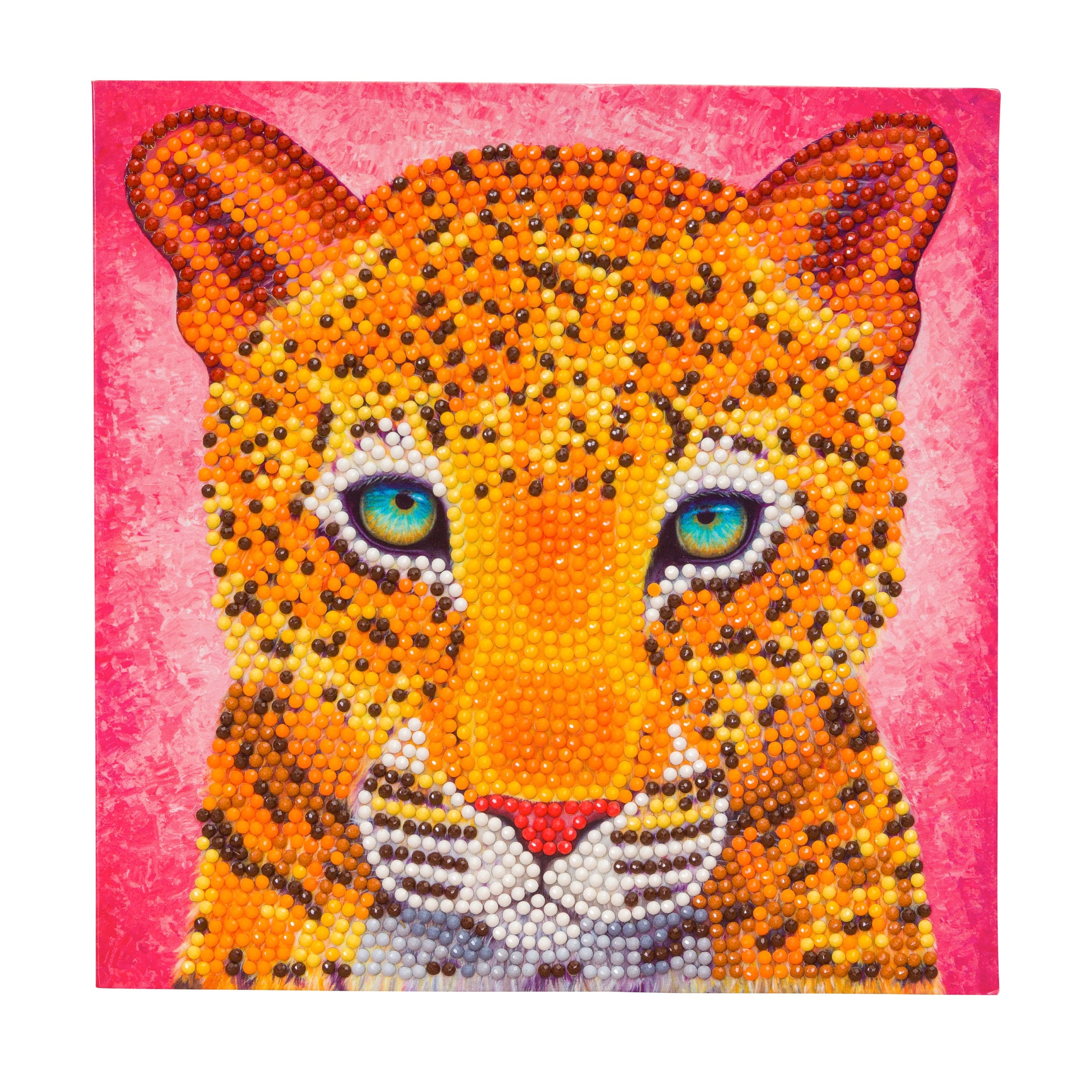 5D Diamond Painting Kittens by the Dollhouse Kit