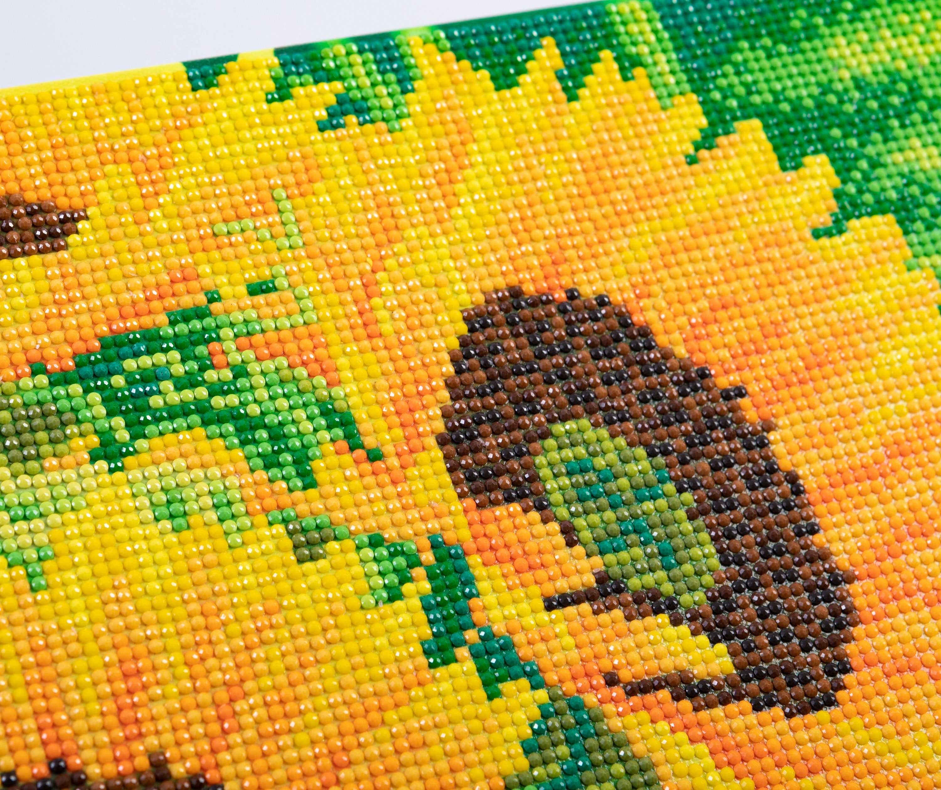 Diamond Painting Craft Set, Daisy & Sunflower, 12 x 16 - Set of 2 –